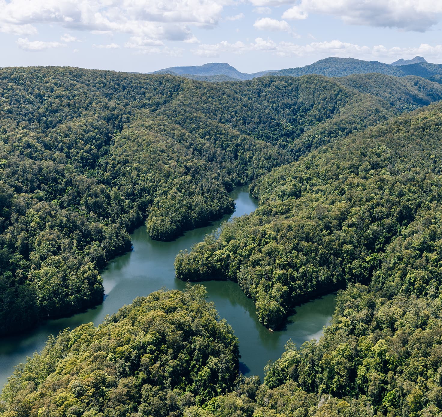 A dam surrounded by hinterland.