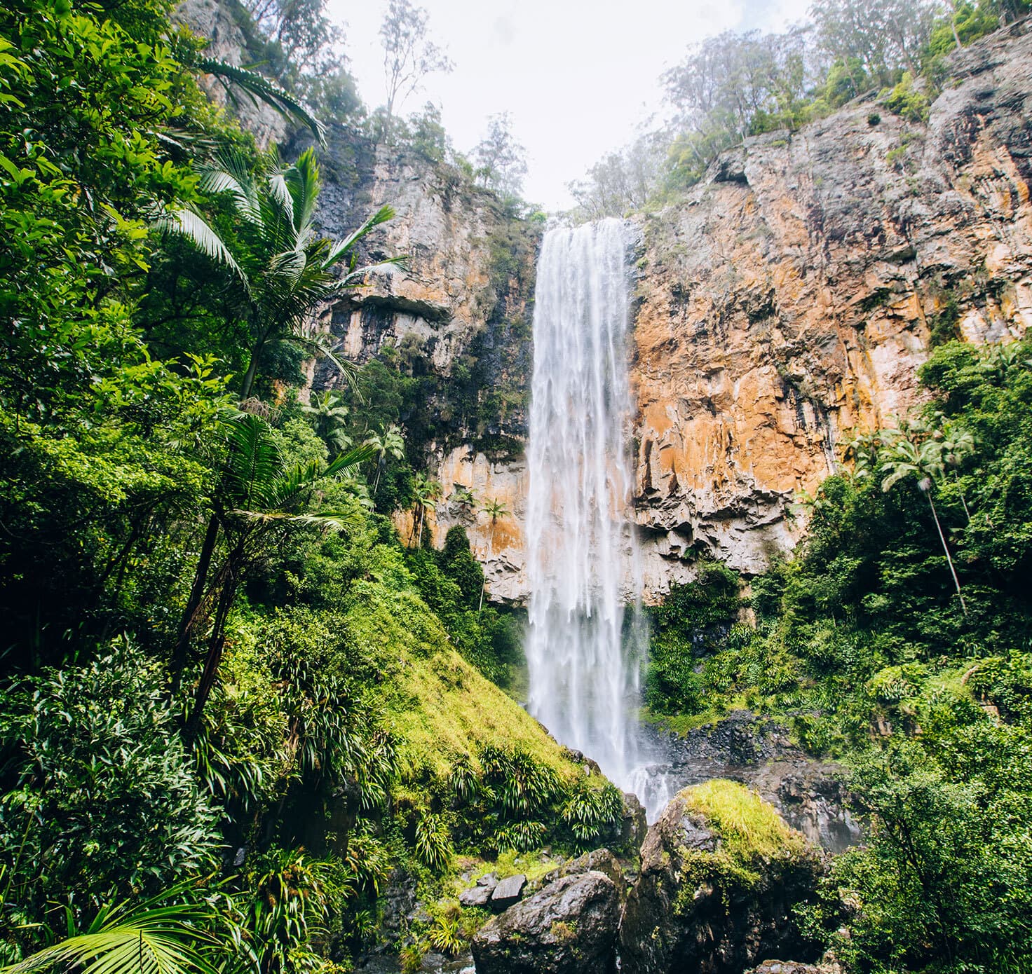 Waterfall running down a cliff amongst a rainforest.