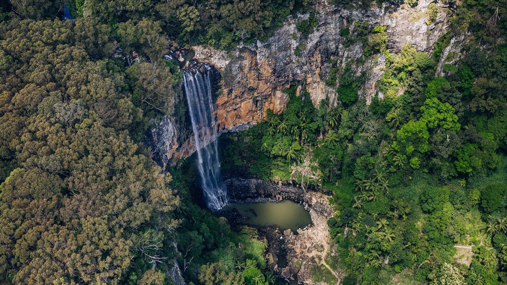 Purling Brook Falls in Springbrook National Park, Gold Coast.