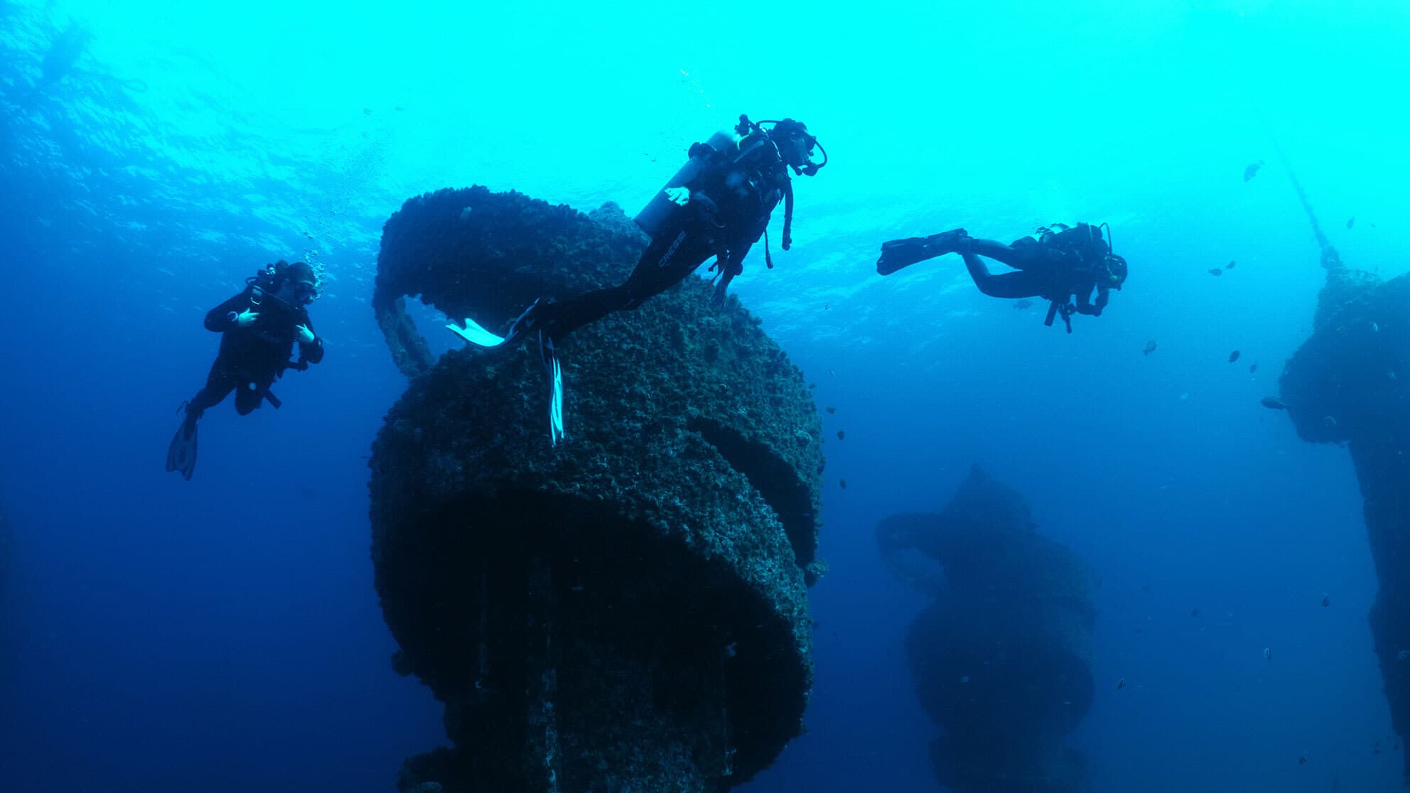 Scuba divers swim through Wonder Reef, Gold Coast.